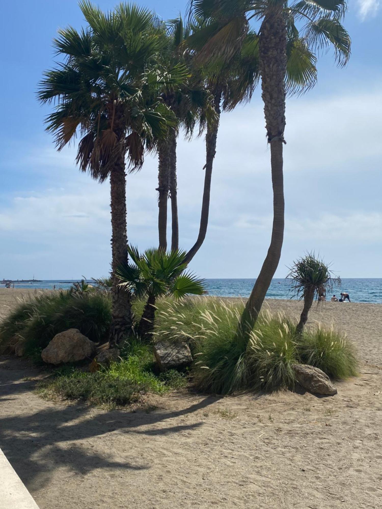 Almeria Playa Zapillo Exteriör bild